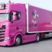 4 çocuk annesi, pembe renkli TIR'ı ile uluslararası taşımacılık yapıyor