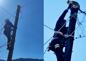 Elektrik direğinde mahsur kalan kediyi ekipler kurtardı