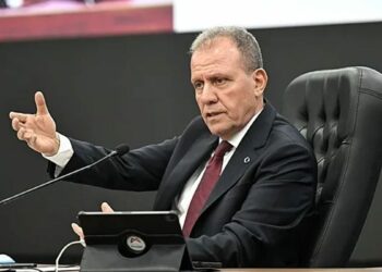 Mersin Büyükşehir Belediye Başkanı Seçer’den ‘at eti’ iddiasına yönelik açıklama