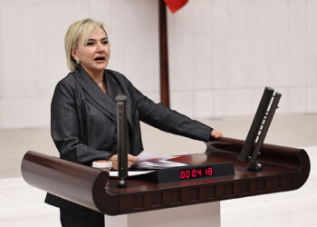 Toplanan her 3 hayvandan 1’i öldü; bu vicdani bir çöküştür