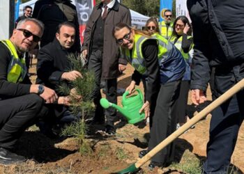 Tekirdağ Şarköy'deki yanan ormana 10 bin fidan dikildi
