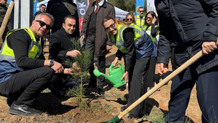 Tekirdağ Şarköy'deki yanan ormana 10 bin fidan dikildi