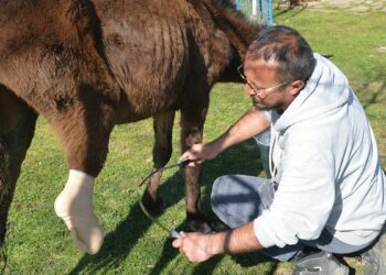 Trussardi, Türkiye’de 3 mağaza açmayı hedefliyor