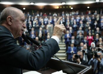 Türkiye'ye el uzatanın eli, dil uzatanın dili yanar
