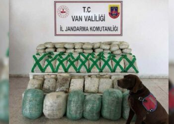 Van ve Hakkari'de uyuşturucu operasyonu; 15 gözaltı
