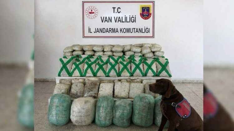 Van ve Hakkari'de uyuşturucu operasyonu; 15 gözaltı