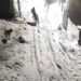 Köye inen kurtlar köpeği alıp götürdü
