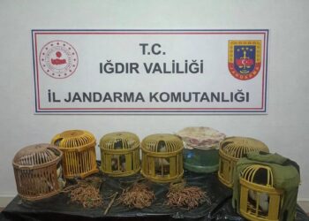 Kaçak keklik avcılarına 175 bin lira ceza