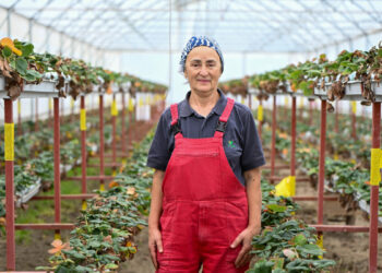 BAU Farm'da üretimin gücü 'kadınlar'