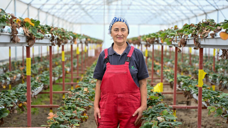 BAU Farm'da üretimin gücü 'kadınlar'