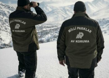 DKMP'den yasa dışı avcılığa 984,7 bin lira ceza