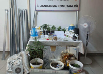 Evdeki 'kenevir serası'na jandarma baskını; 2 gözaltı