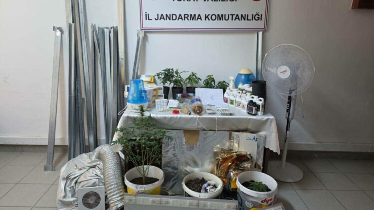 Evdeki 'kenevir serası'na jandarma baskını; 2 gözaltı