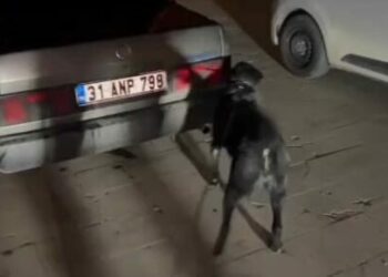 Hatay'da uyuşturucu operasyonu; 3 tutuklama