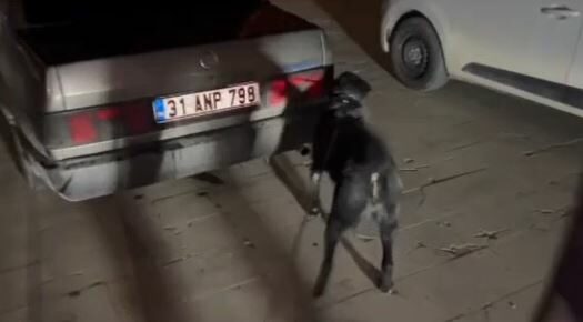 Hatay'da uyuşturucu operasyonu; 3 tutuklama