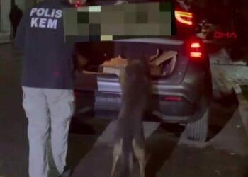 Sakarya’da dur ihtarına uymayan cipten 33 bin 400 sentetik ecza ele geçirildi