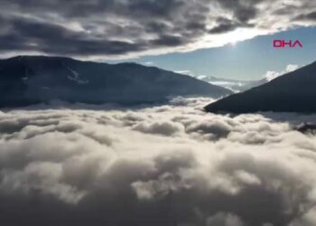 Kadınlar Günü'nde 8 kadının hikayesi videoda buluştu