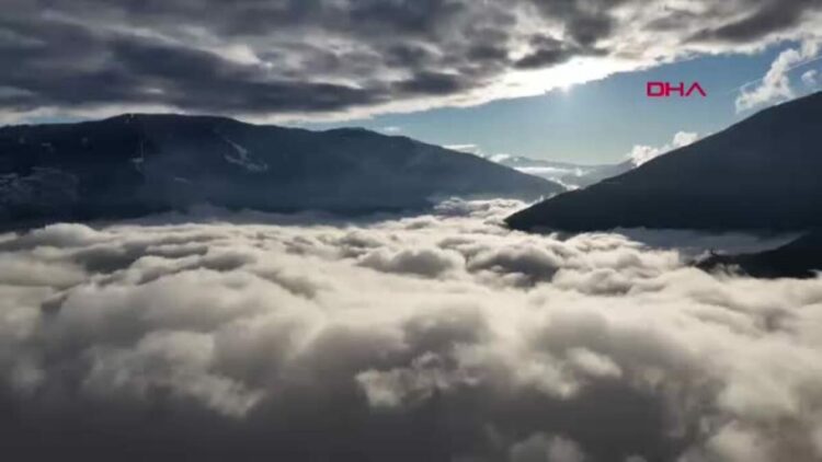 Kadınlar Günü'nde 8 kadının hikayesi videoda buluştu