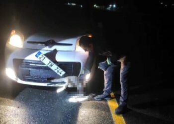 Tilki, kendisine çarpan aracın tamponuna sıkıştı