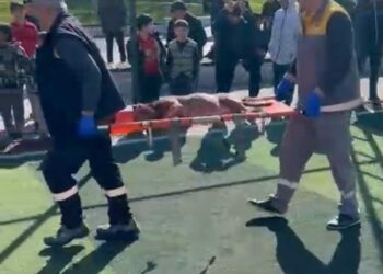 Sultangazi’de futbol sahasında pitbullar birbirine saldırdı