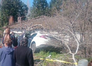 Aydın'da otomobil ağaçlara çarptı: 2 ölü, 1 yaralı