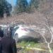 Aydın'da otomobil ağaçlara çarptı: 2 ölü, 1 yaralı