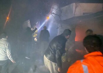 Adana'da bir evin deposunda çıkan yangından 40 güvercin öldü