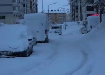 Bitlis'te kar durdu, temizlik çalışması başladı