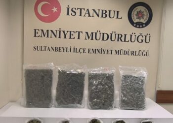 Sultanbeyli'de 'dur' ihtarına uymadı, dronla takip edildi; evinde 5 kilo 24 gram marihuana ele geçirildi