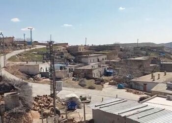 İnekteki kuduz şüphesi nedeniyle mahalle karantinaya alındı