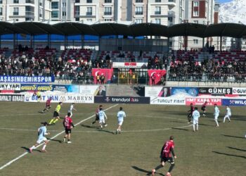 Van Spor, evinde Adana Demirspor’u 1-0 mağlup etti