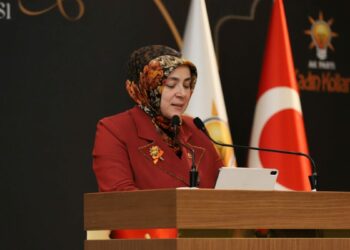AK Partili Ercan: Kadınların eşit temsiliyette yer almadığı yapılar toplumun vicdanını yansıtamaz