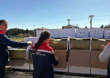 Tekirdağ'da baklavada kullanılacak 2 ton aflatoksinli fıstık ele geçirildi