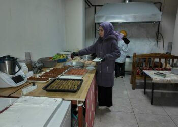 3 çocuk annesinin çocukluk tutkusu işi oldu