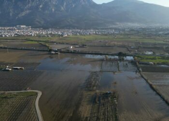 Manisa'da taşkın sonrası su içinde kalan Gediz Ovası normale döndü