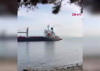 Çanakkale Boğazı’nda makine arızası yapan dökme yük gemisi karaya oturdu