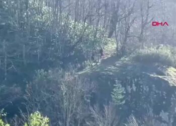 Dereye düşme tehlikesi geçirdi, yardım eden akrabalarıyla uçuruma yuvarlandı: 1 ölü, 3 yaralı