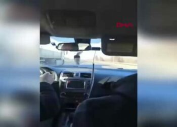 Takiple durdurulan cipten 6 kaçak göçmen çıktı, sürücü tutuklandı