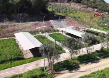 Gemlik Belediyesi’nden 25 dönümlük alana 'Patili Canlar Yaşam ve Rehabilitasyon Merkezi'