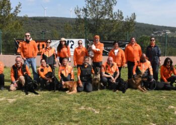 'Arama kurtarma köpeğinin yapabileceği işi hiçbir ekipman yapamaz'