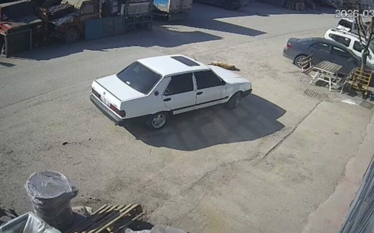 Köpeğin üzerinden otomobili ile geçip, sürükleyen sürücü gözaltında