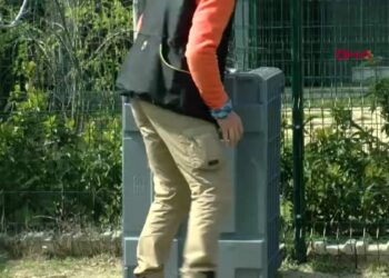 'Arama kurtarma köpeğinin yapabileceği işi hiçbir ekipman yapamaz'