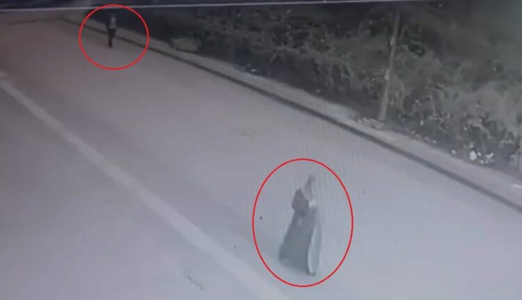 Yolda yürüyen kadının poşetteki telefonunu çalan kapkaççı kamerada