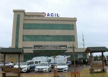 Diyarbakır'da otomobilin çarptığı yaya öldü