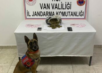 Mezarlık yakınında 1 kilo skunk ele geçirildi