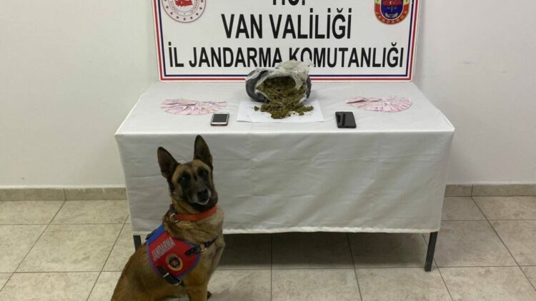 Mezarlık yakınında 1 kilo skunk ele geçirildi