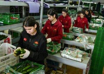 İran savaşı sonrası Türkiye'den Rusya'ya sebze ihracatı arttı