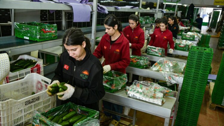 İran savaşı sonrası Türkiye'den Rusya'ya sebze ihracatı arttı