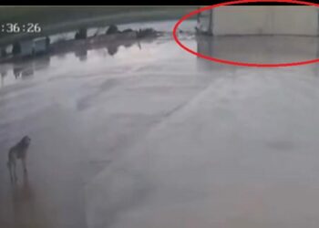 TIR’ın otomobilin üzerine devrildiği kaza kamerada; 2 yaralı