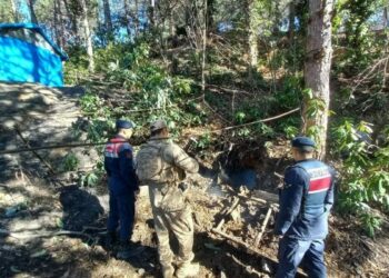 Zonguldak’ta 6 kaçak ocak imha edildi